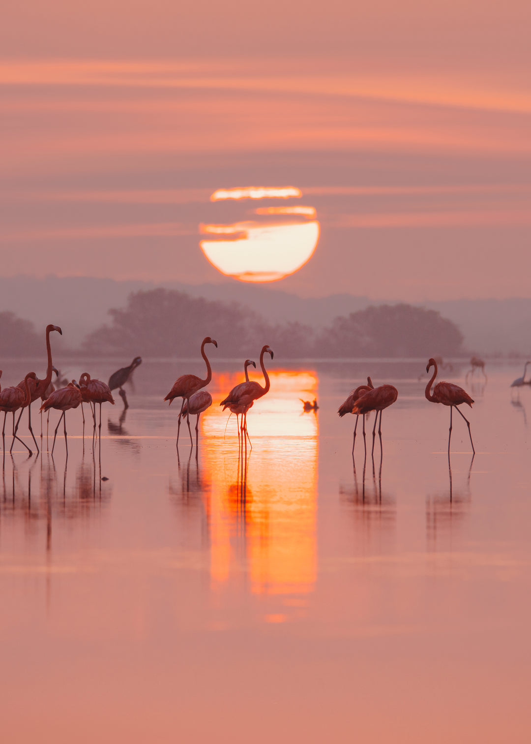 Amanecer en Yucatán