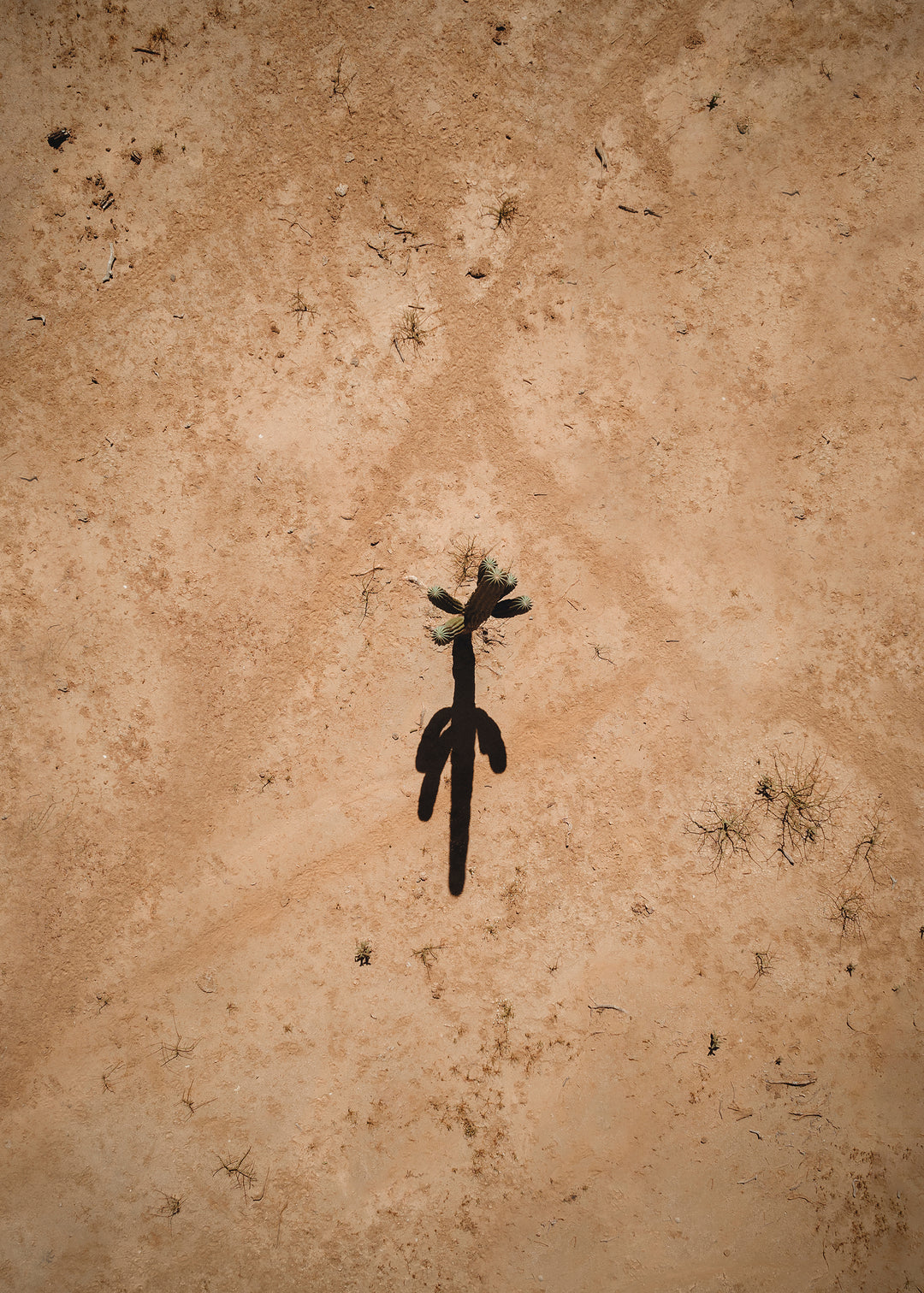 Desierto