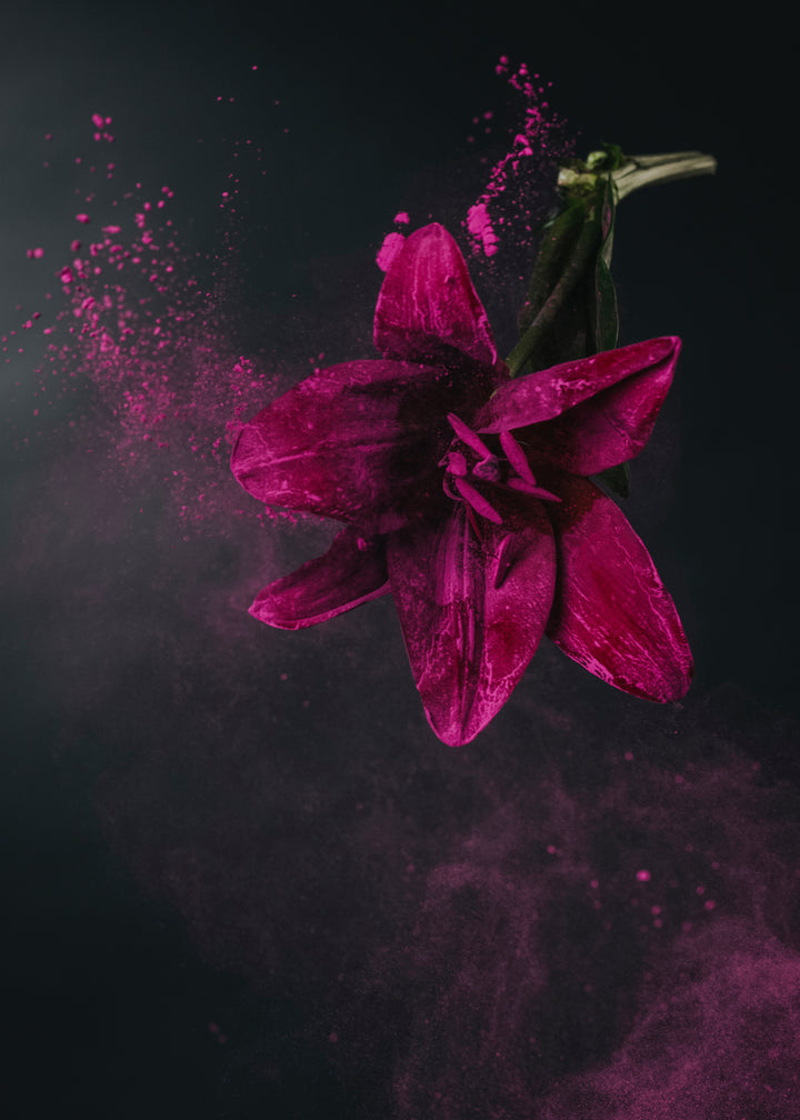 rosa makeup