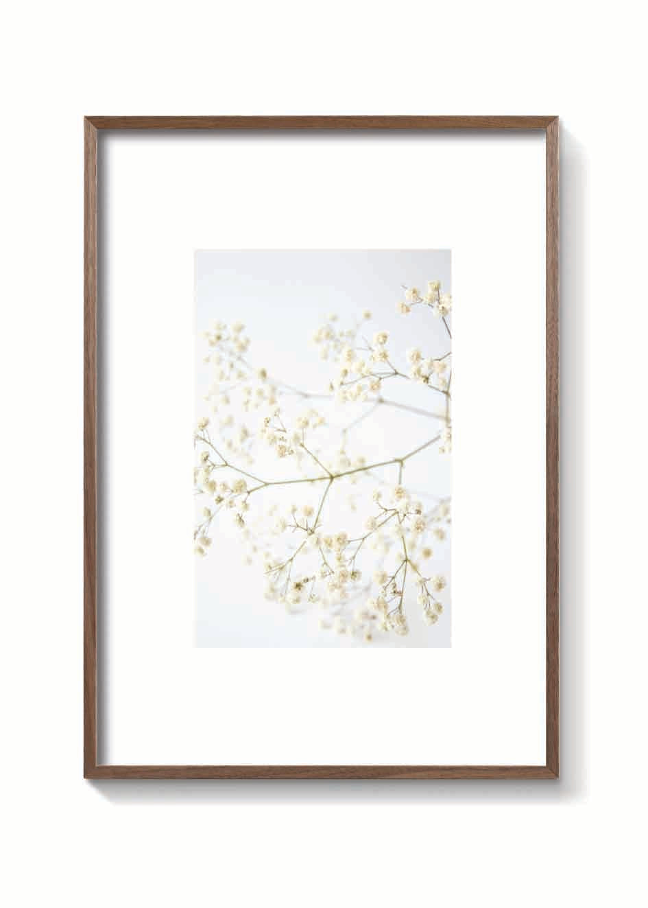 DRY CLOUD FLOWER