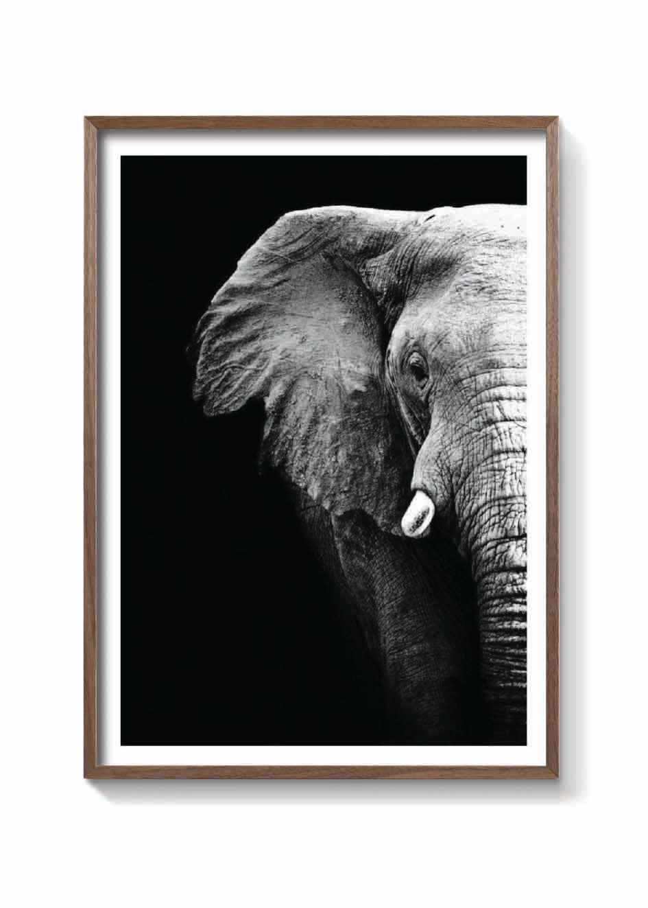 ELEFANTE