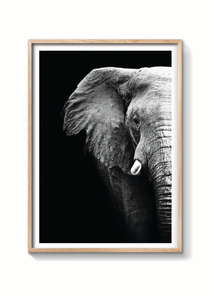 ELEFANTE