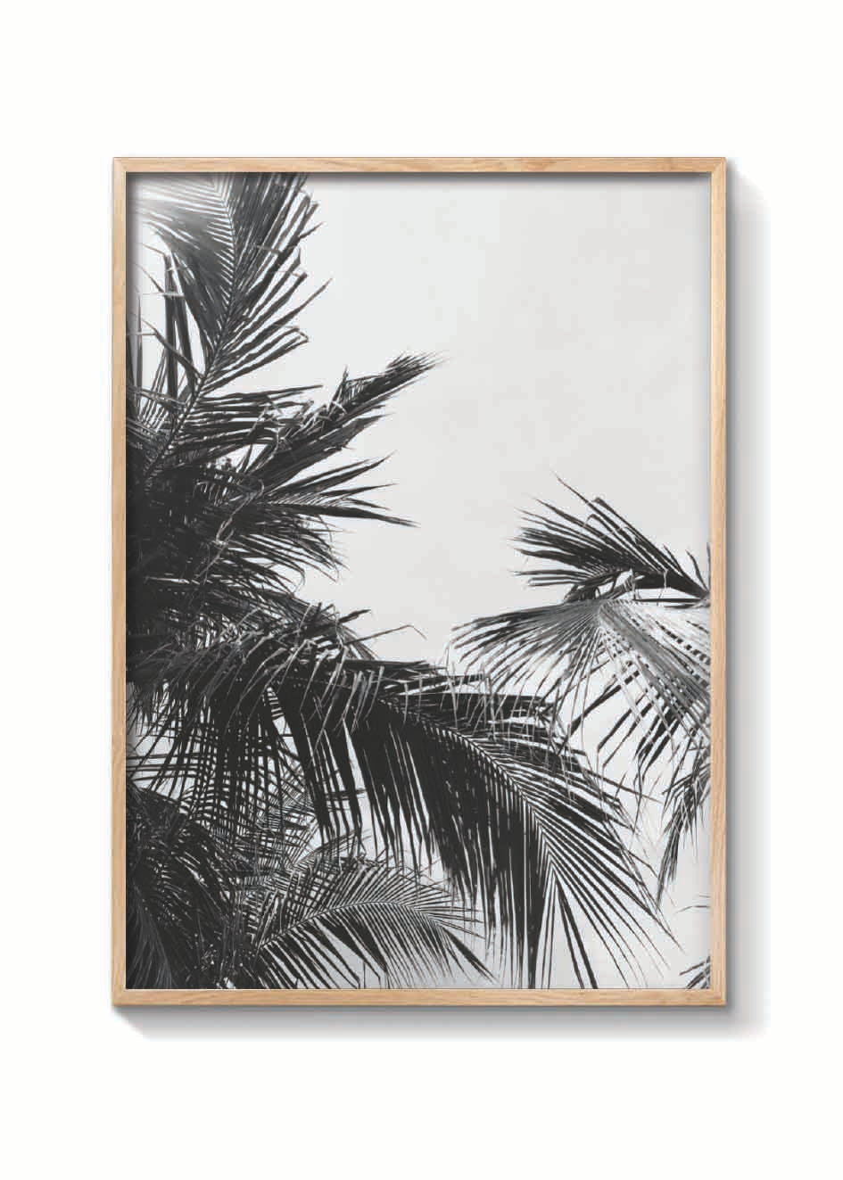 PALMS VINTAGE